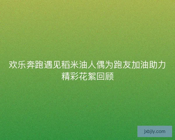 欢乐奔跑遇见稻米油人偶为跑友加油助力精彩花絮回顾
